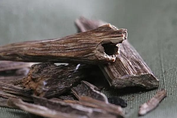 揭秘沉香木：自然雕琢的漫长形成历程