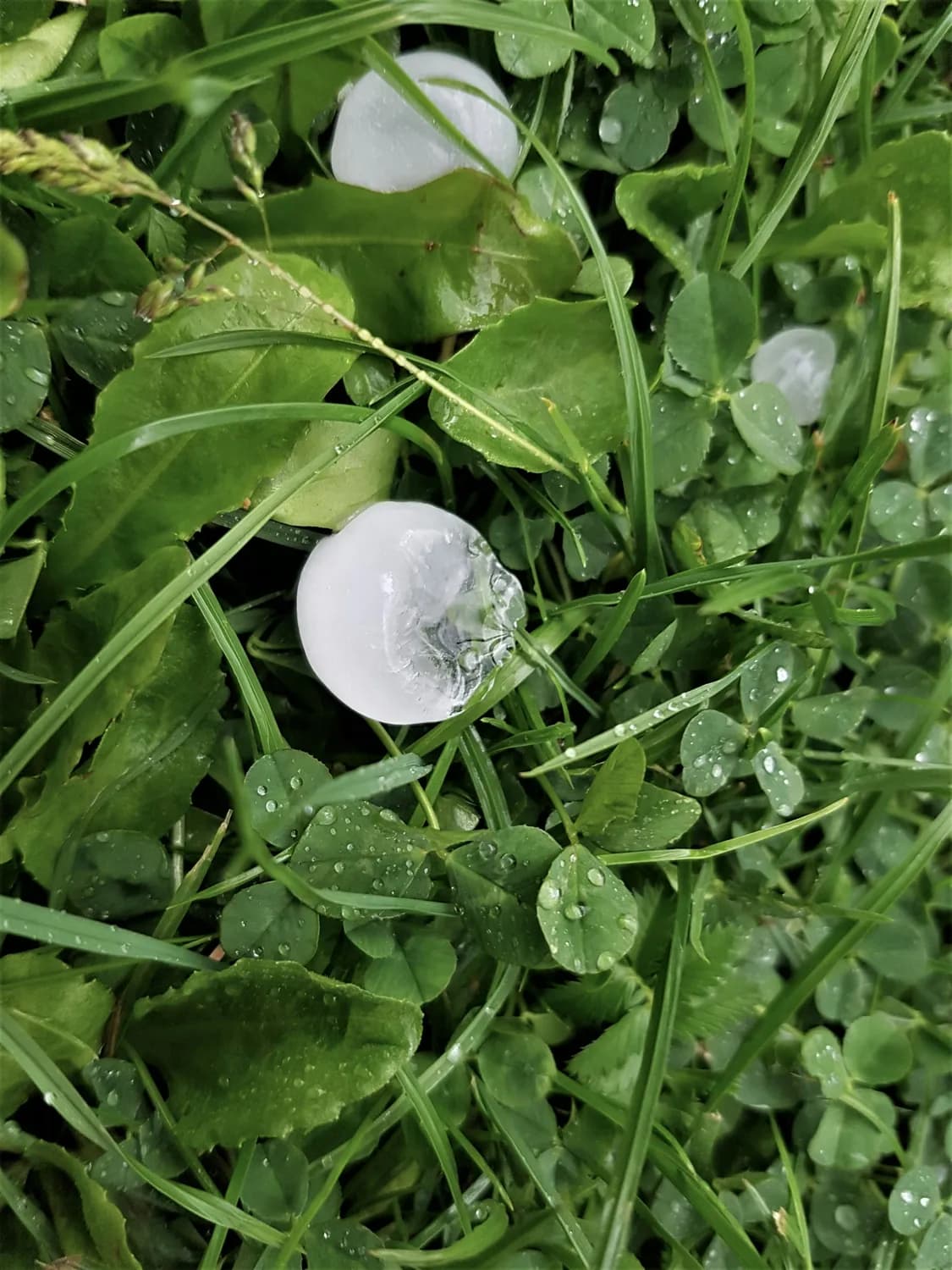 广东夏天下冰雹：成因揭秘与防护指南