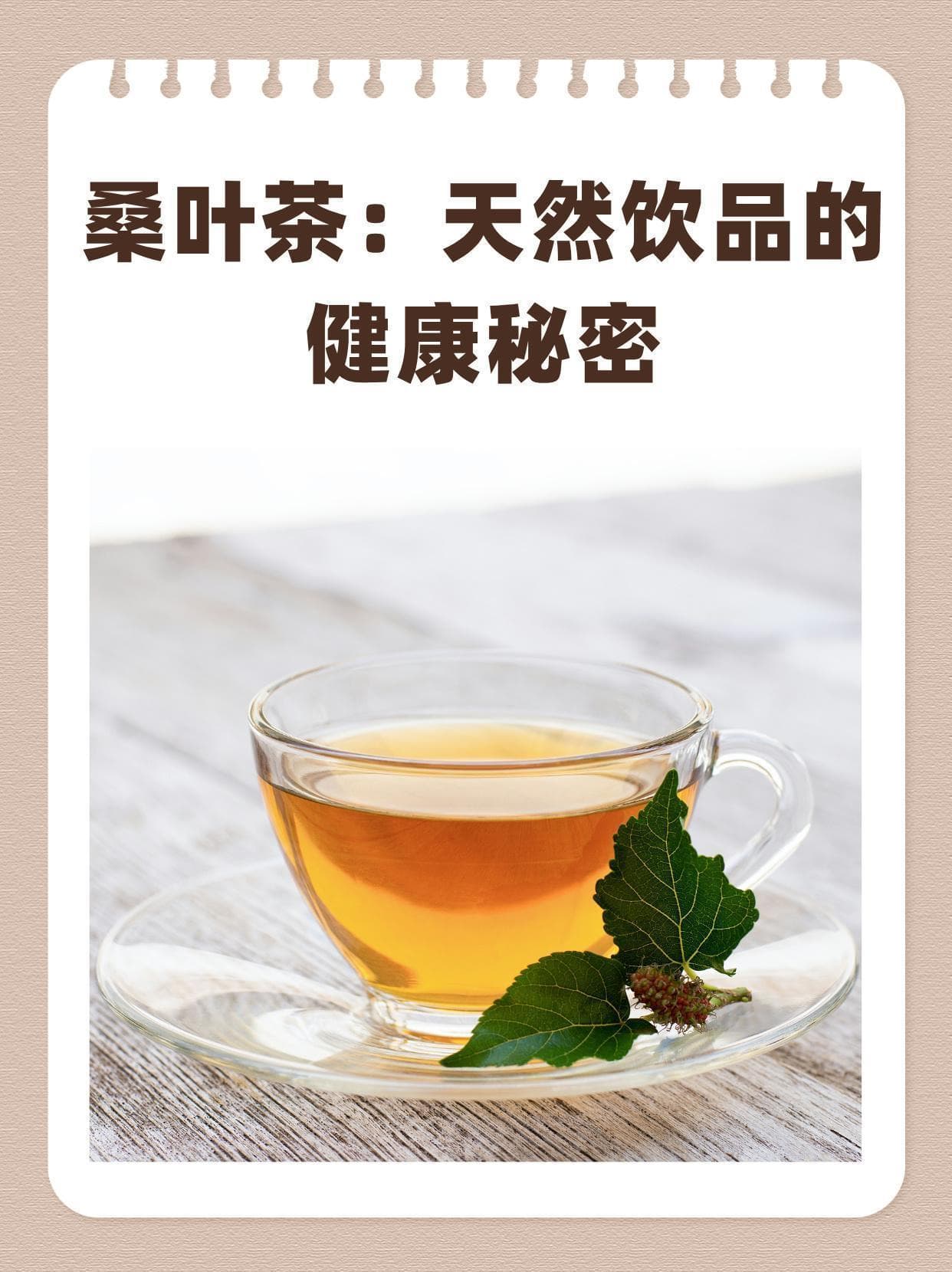 桑叶茶：天然饮品的健康秘密