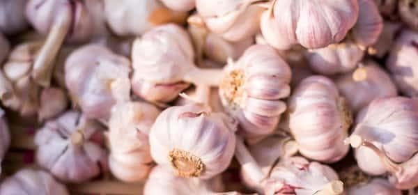 大蒜的11种经证实的健康益处