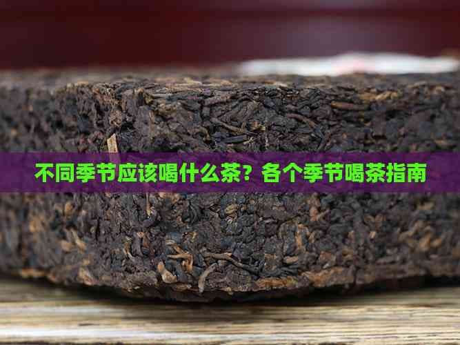 不同季节应该喝什么茶？各个季节喝茶指南