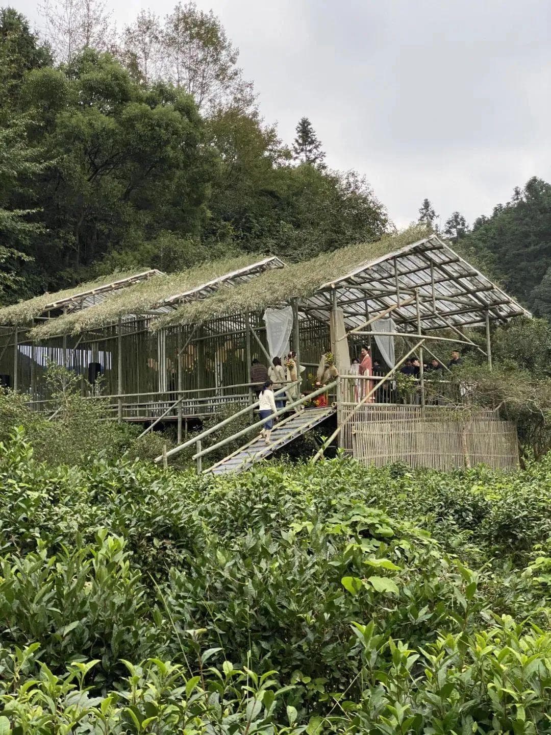 设计之美，生活即道——中国传统工艺的现代转化