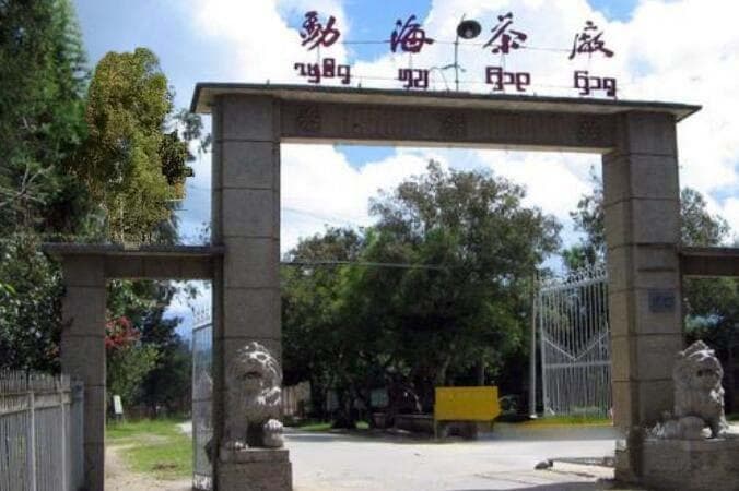 普洱茶品牌三强：中茶、大益、下关，详解三者的前世今生！