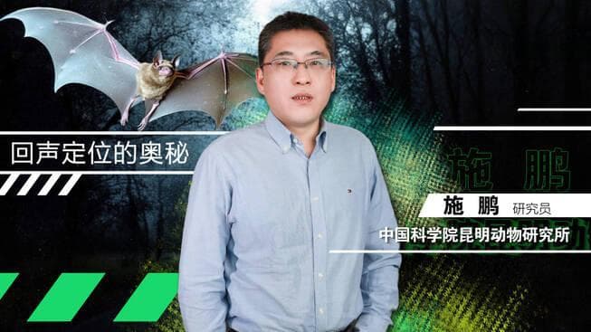 科学公开课：探秘回声定位的奥秘
