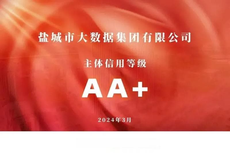 升格一年创多项第一，盐城大数据集团领跑数字盐城建设