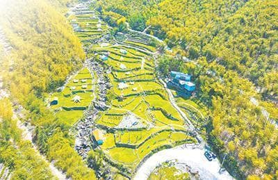 浙江安吉实施乡村振兴新青年行动 让农民受益 让青春无悔