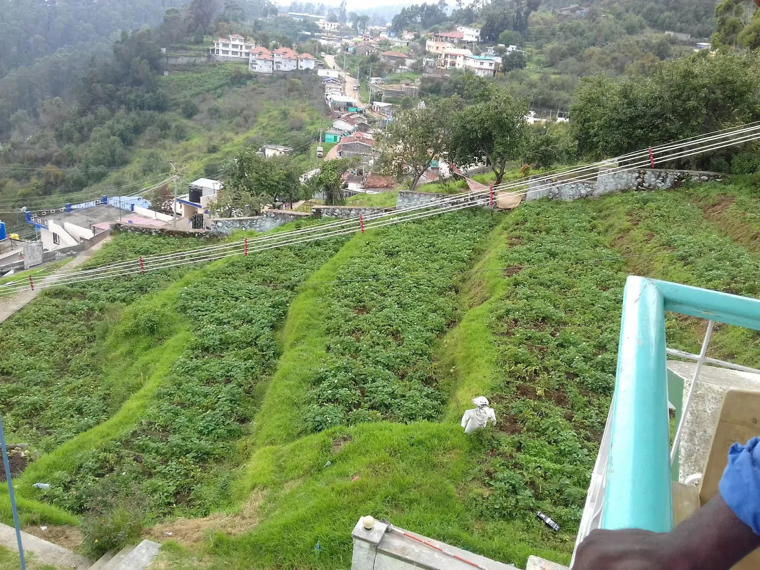 贵港山边村：小县城里的悠闲时光