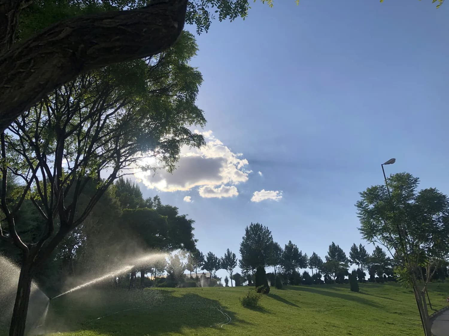 智慧灌溉：小区绿化的黑科技