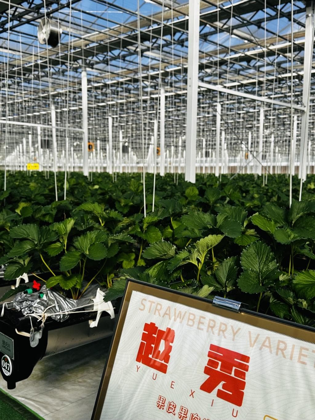 千秋一河大潮阔｜在黄河几字湾，体验具象化的“科里科气”