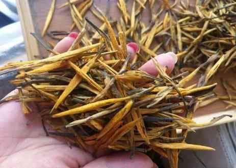大金针滇红茶的泡法：详细步骤与技巧