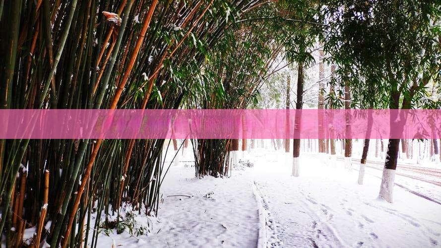 自驾穿梭：运城至贵阳行车时间指南