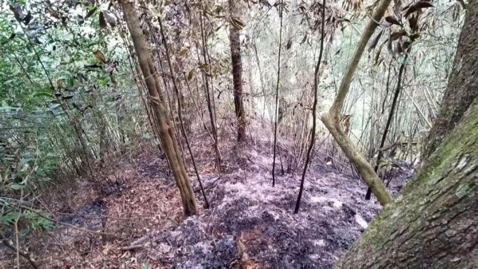 吸烟引发山火、机器故障引起山火……广东曝光多起森林火灾典型案例