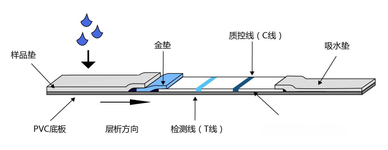 胶体金法检测平台