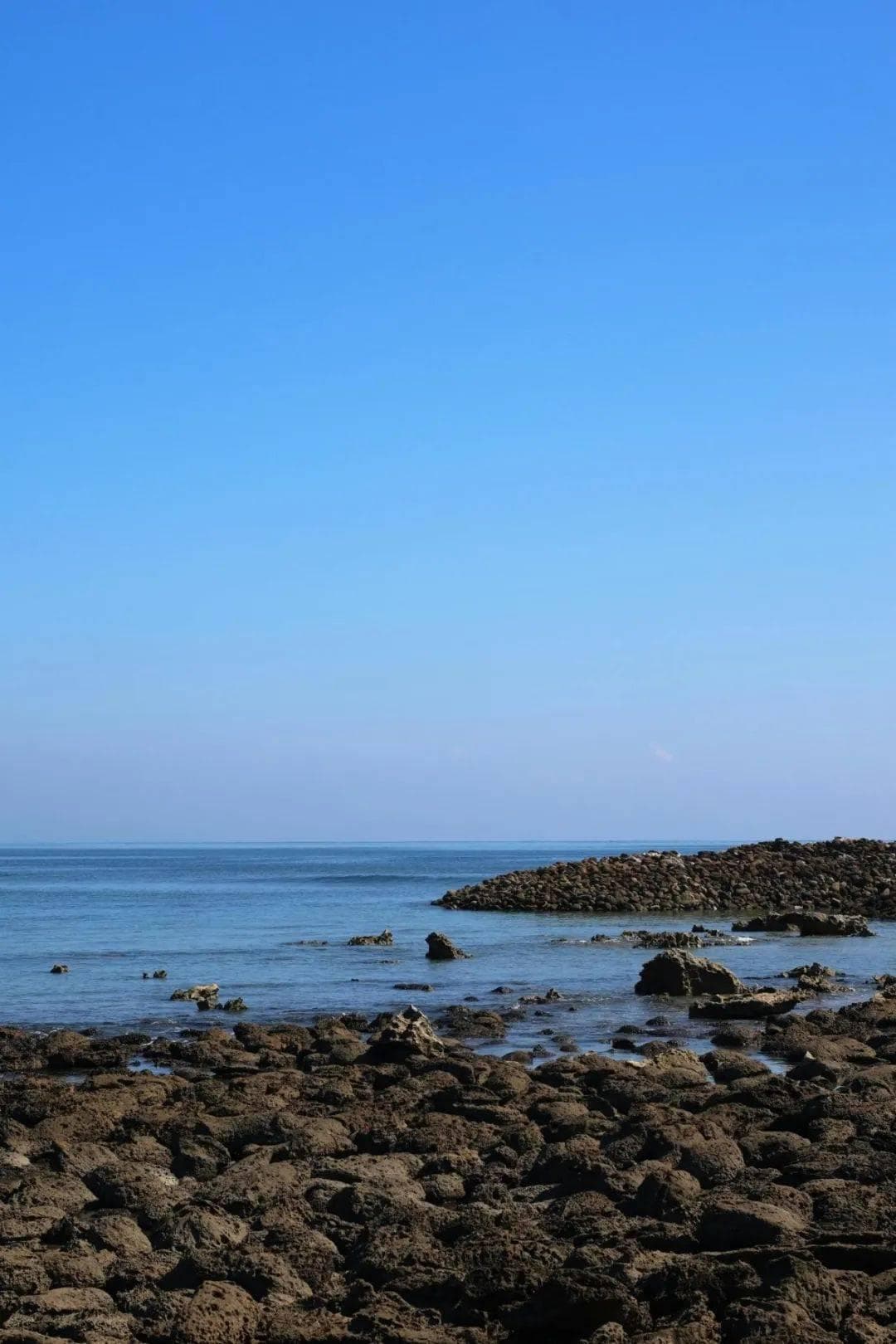 去赶海挖呀挖？不，我们选择这样“生态亲海”
