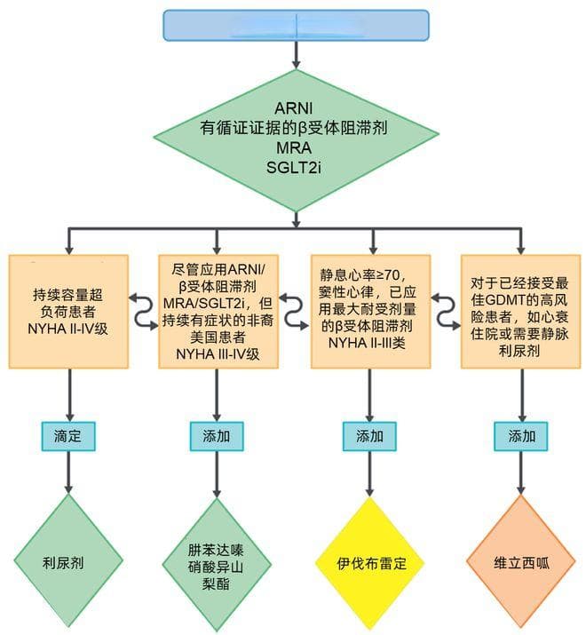 纵览2024年国内外心衰指南，看SGLT2i在心衰治疗中的核心地位