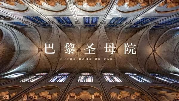 命运的悲歌与人性的光辉——《巴黎圣母院》