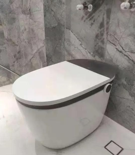 智能马桶喷嘴出水口堵住了，不出水？清洗疏通方法看这里！