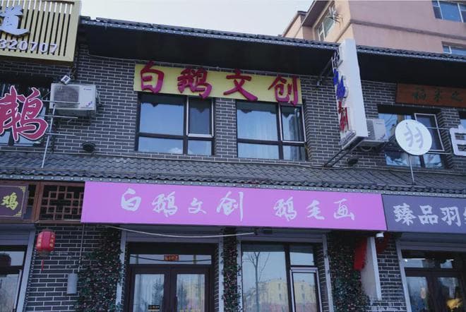 “白鹅+文创”让舒兰特色产业“美”出圈