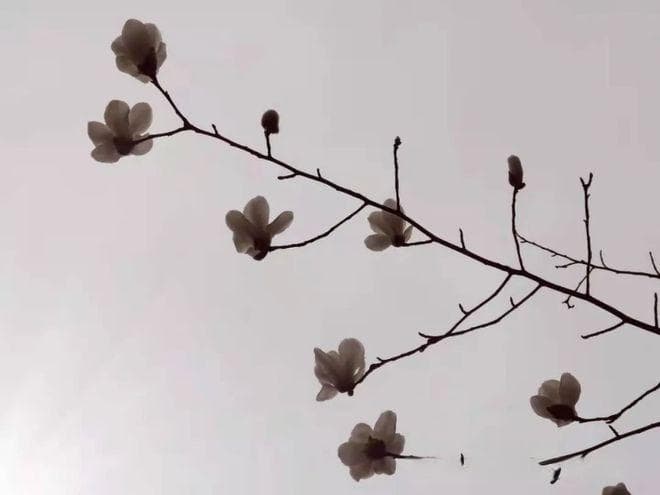 读懂《连环计》，你就读懂了王允的3大用人术