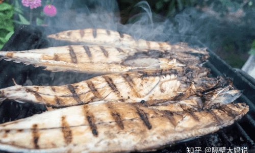 养好清道夫鱼的技巧