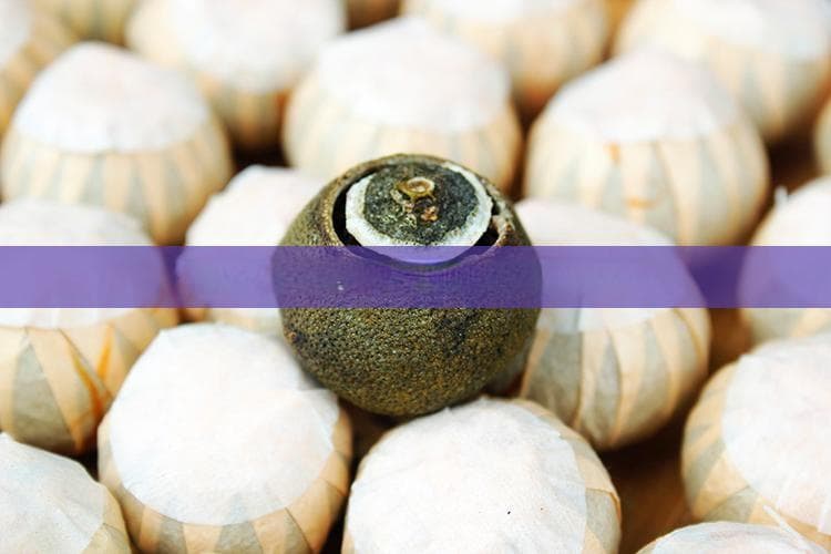 普洱茶品质安全标准体系：四大维度保障，全程严格管控