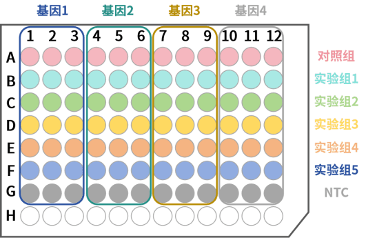 显色示踪荧光定量PCR实验操作指南