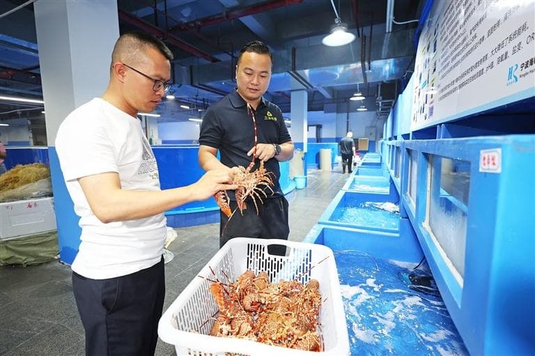 有钓有养供应充足价格变动不大 伏季休渔期三亚人吃鱼"管够"
