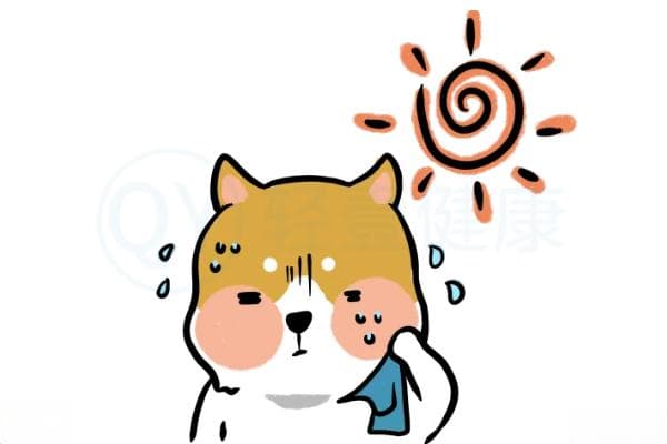 导致头汗的原因有哪些？多为这几个原因