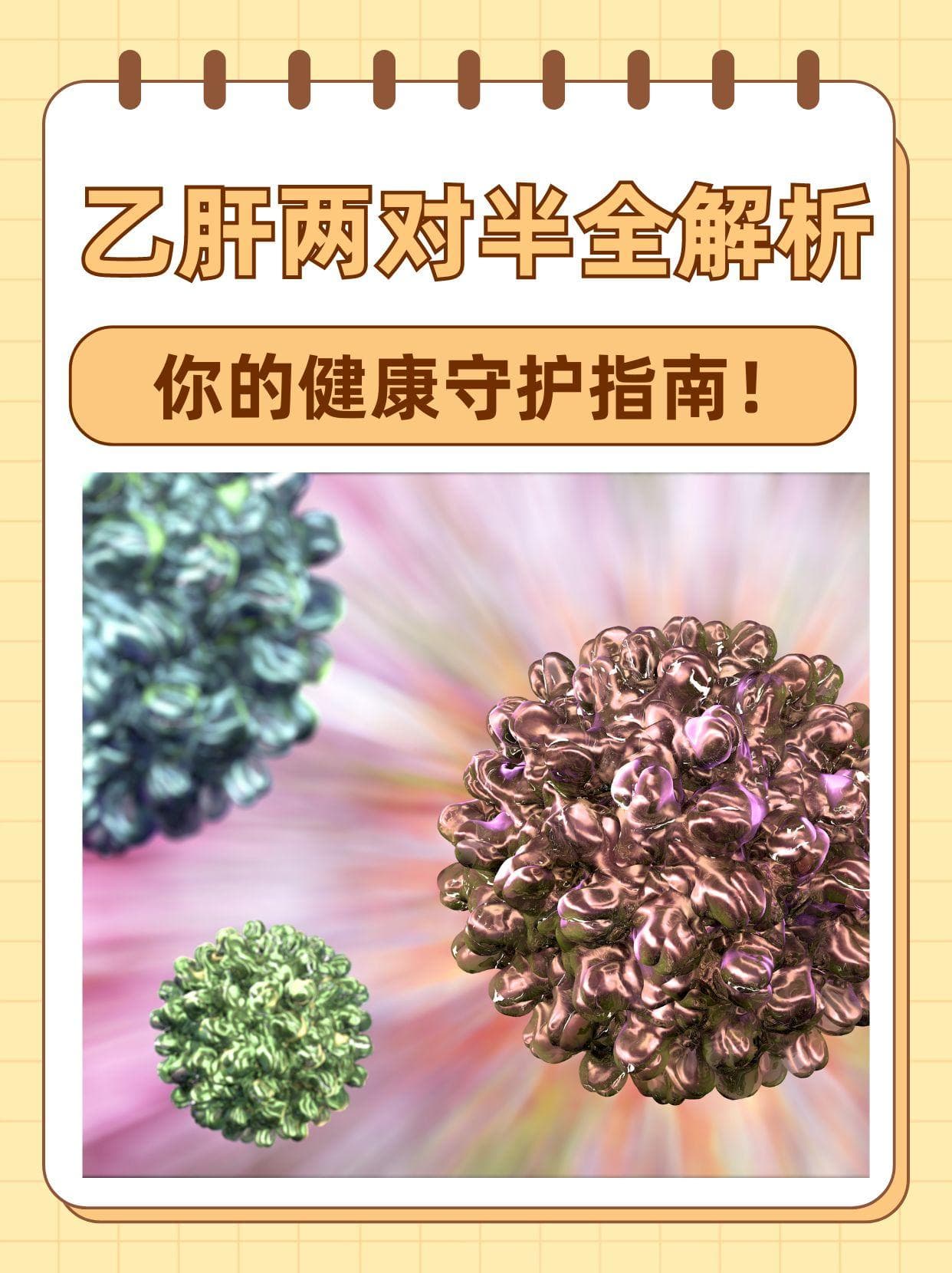 乙肝两对半全解析：你的健康守护指南