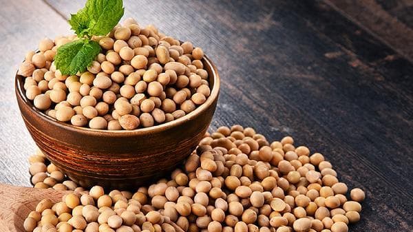 滋阴养血的食物有哪些