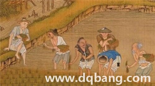 唐朝的农业发展情况