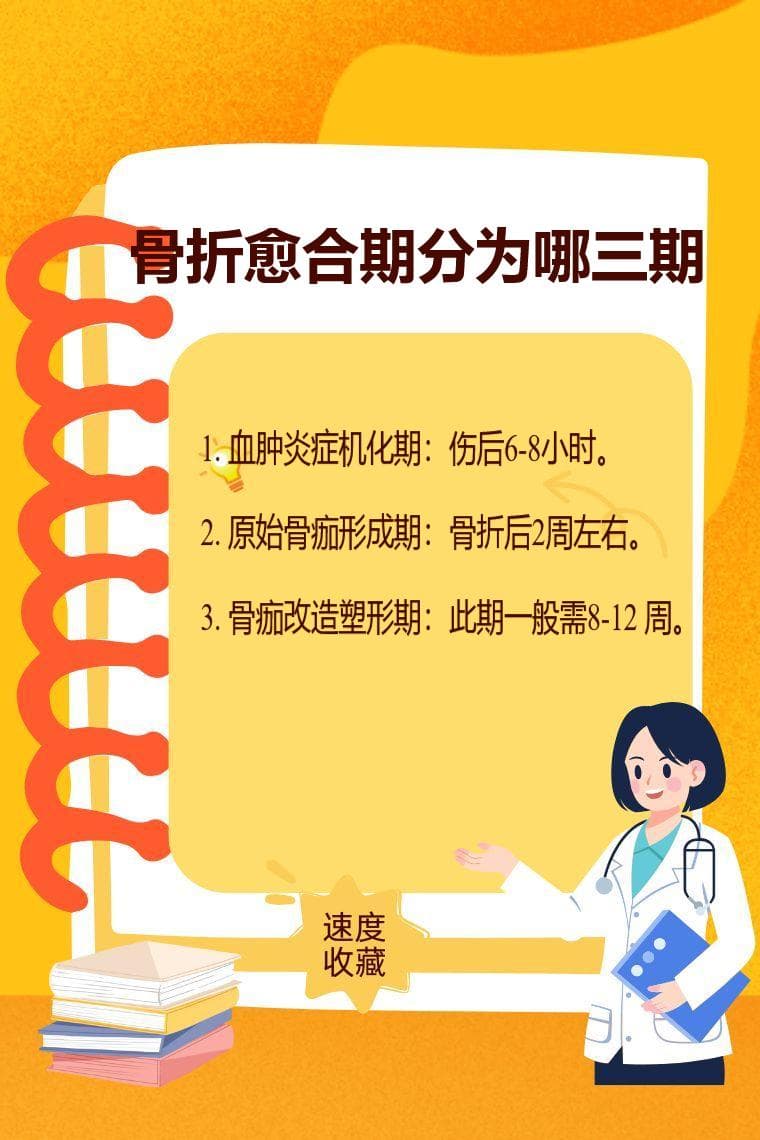 骨折愈合期分为哪三期
