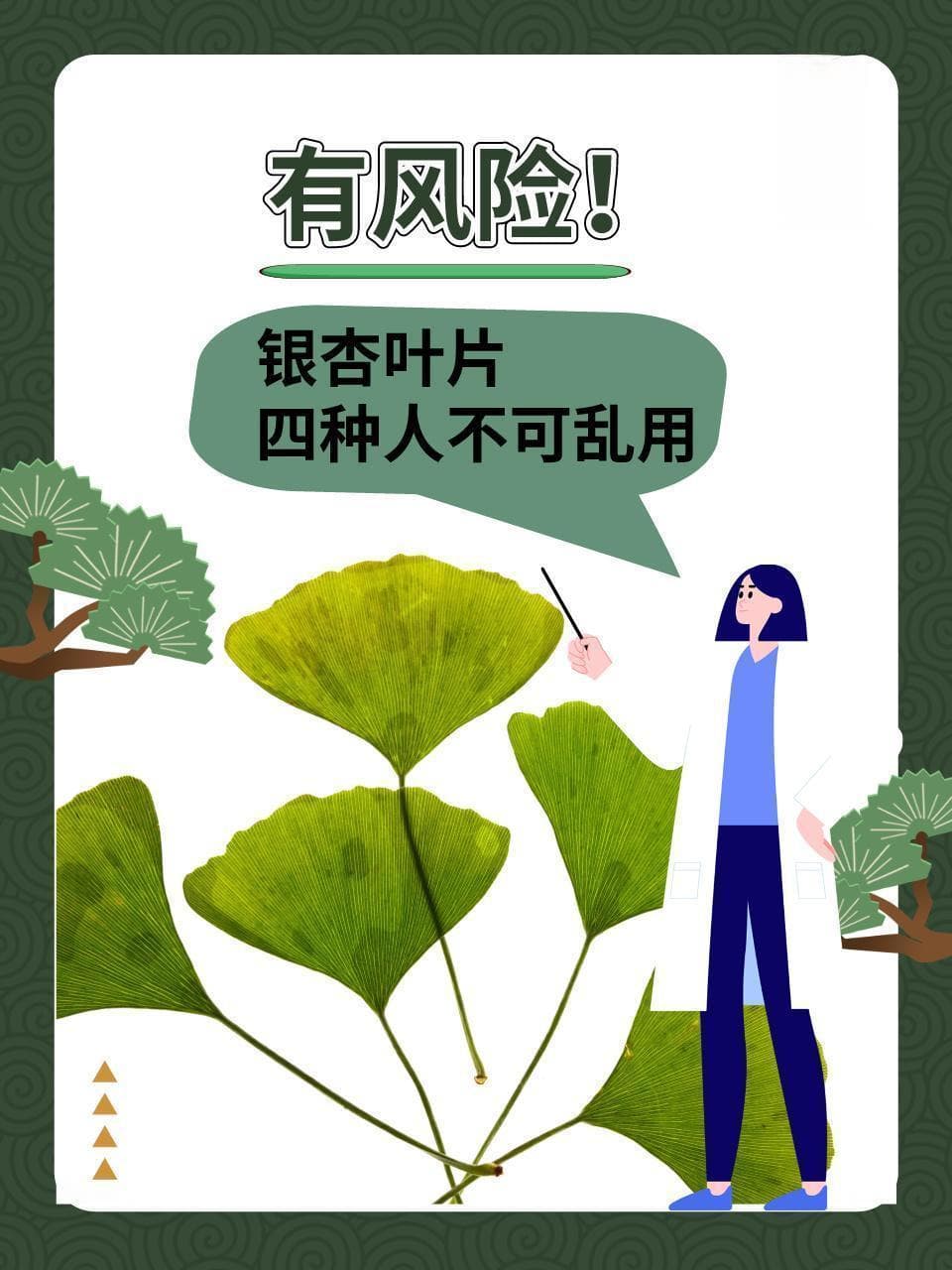 有风险！银杏叶片四种人不可乱用