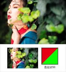 九宫格构图法实战运用技巧与要点解析