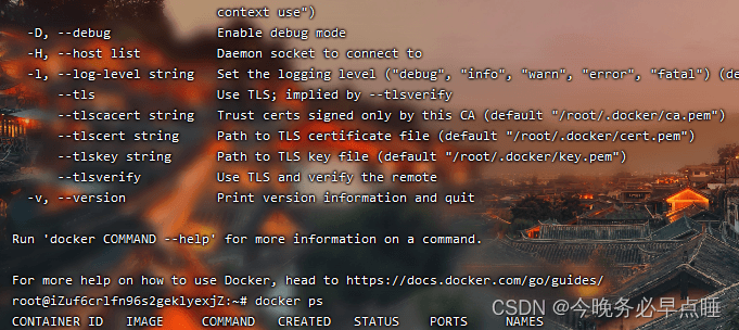 Debian系统上安装Docker全流程