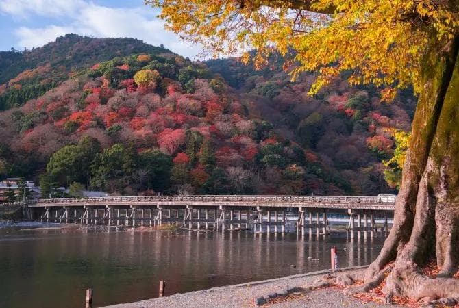 岚山：京都西北的竹林与古寺