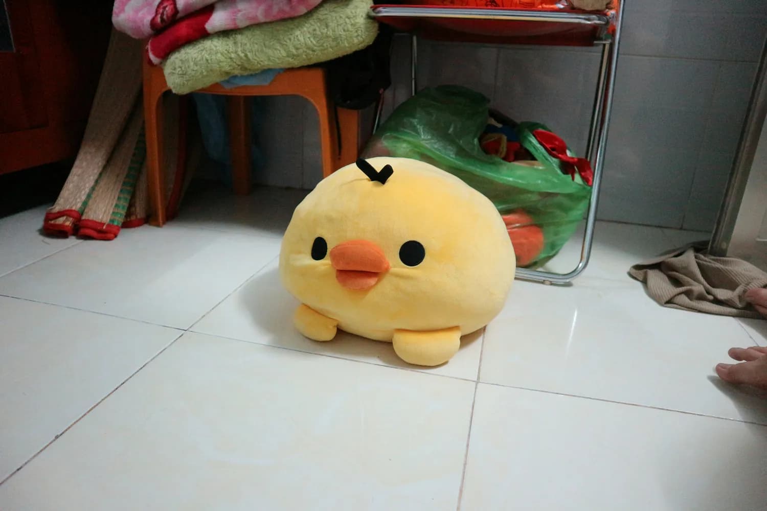 金小鸥揭秘：酒精真的能助眠吗？