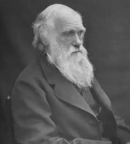 英国生物学家达尔文：进化论的奠基者与生平事迹