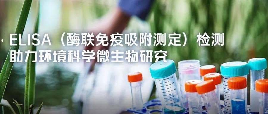 ELISA（酶联免疫吸附测定）检测——助力环境科学微生物研究