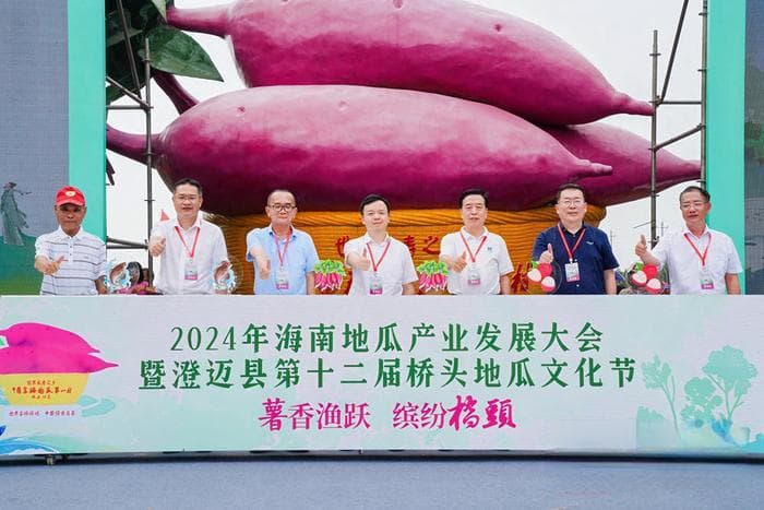 现场人气火爆！澄迈县第十二届桥头地瓜文化节今日举行