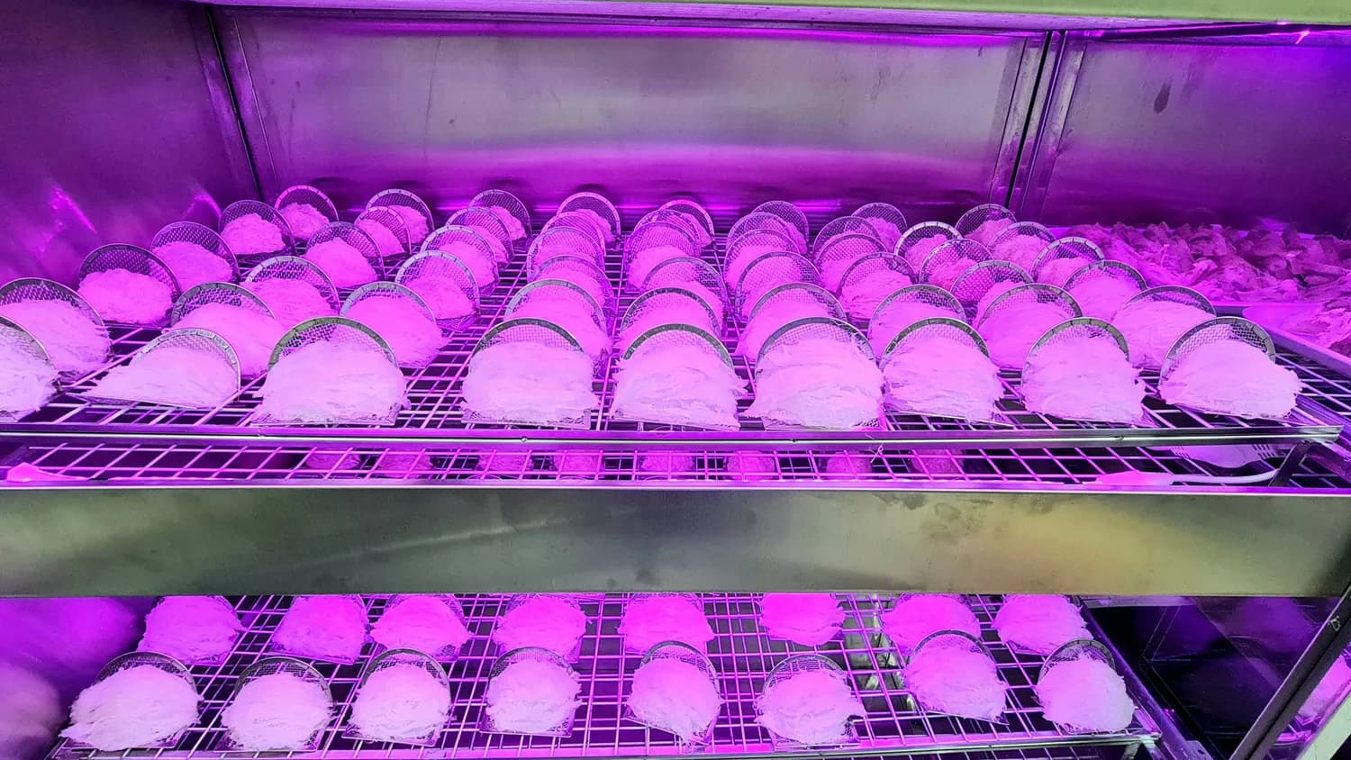 液氮速冻：守护舌尖上的安全与美味