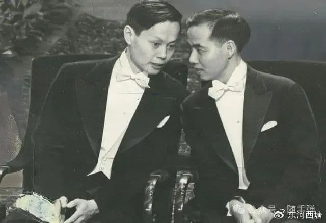 比较李政道和杨振宁