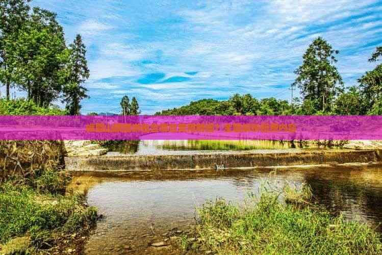 峨眉山跟团游包含哪些费用明细？全面解析团费内容