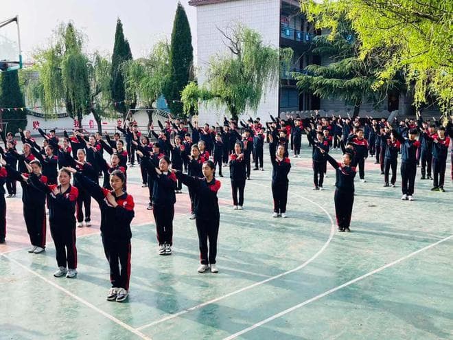 儿童说谎背后的秘密：心理理论、强化、说教与榜样教育的交织影响