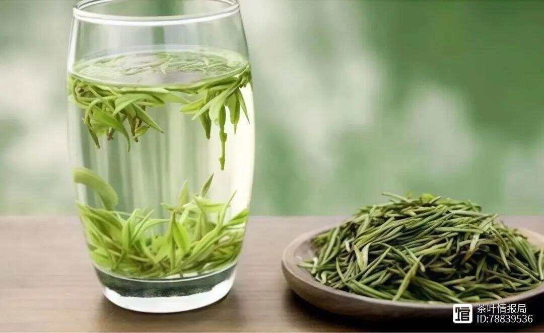 国家级茶艺师揭秘：绿茶三种正确泡法，味道翻倍