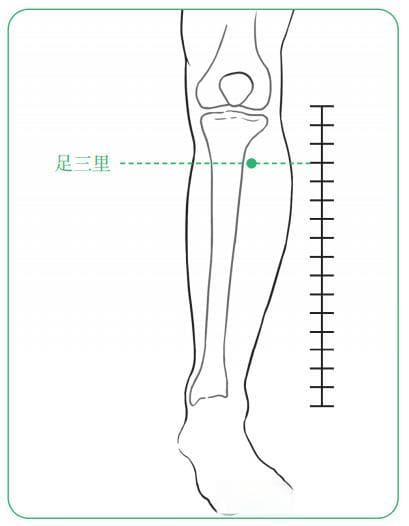 按摩或艾灸这个穴位，能调养“后天之本”脾胃