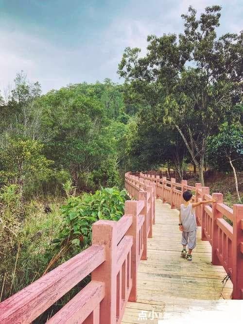 海南尖峰岭国家森林公园旅游攻略：最佳旅游时间、交通方式及注意事项