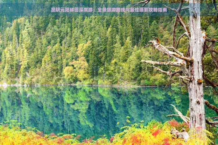 昆明元阳梯田深度游：全景旅游路线与更佳摄影攻略指南