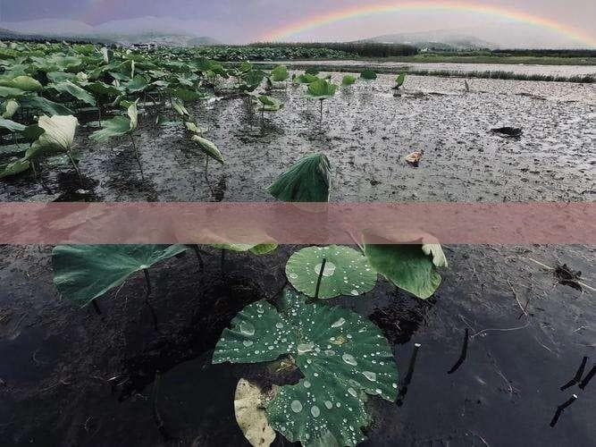 海南沙金与真金的区别：全面解析沙金的识别与价值评估