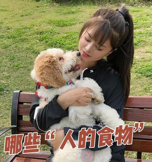 狗狗易消化食物大揭秘